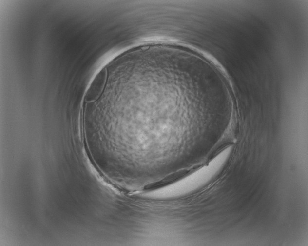 X0000082171295200701191258