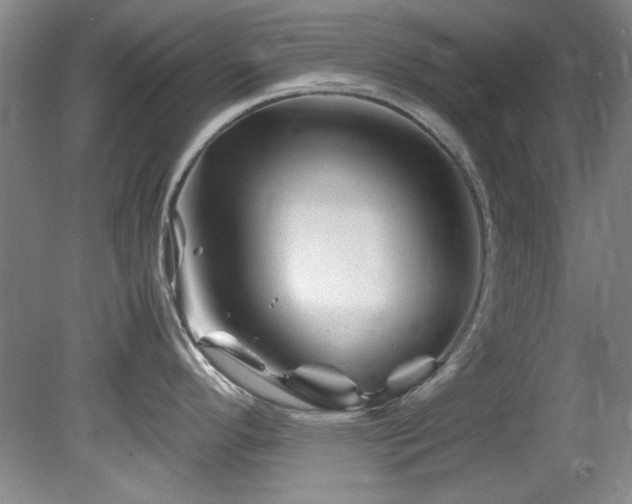 X0000082171296200701191258