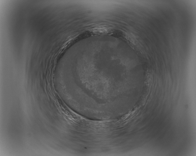 X0000082171297200701191257