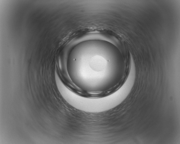 X0000082171298200701191257