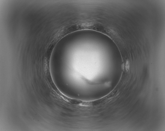 X0000082171299200701191257