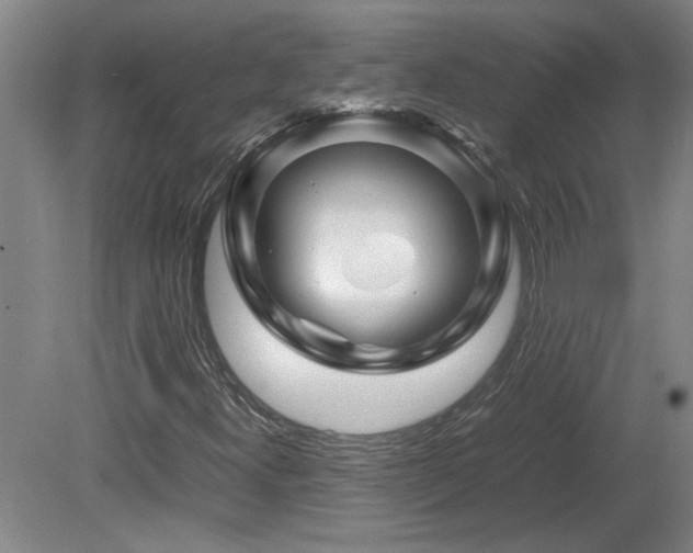 X0000082171300200701191257