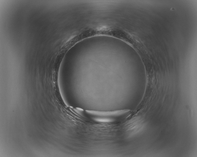 X0000082171301200701191257