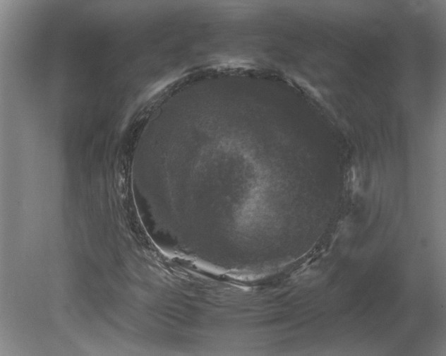 X0000082171303200701191257