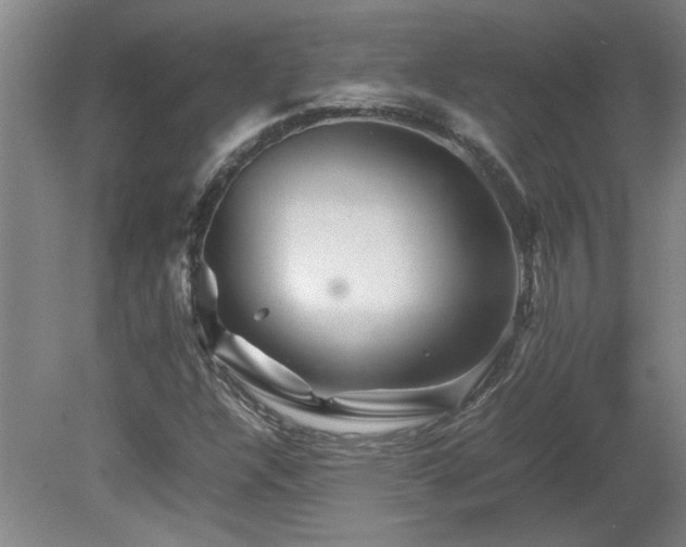 X0000082171304200701191257