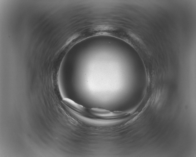 X0000082171305200701191257