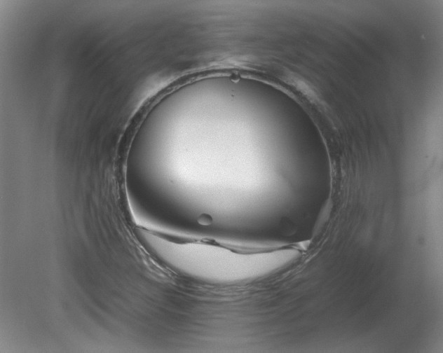 X0000082171308200701191257