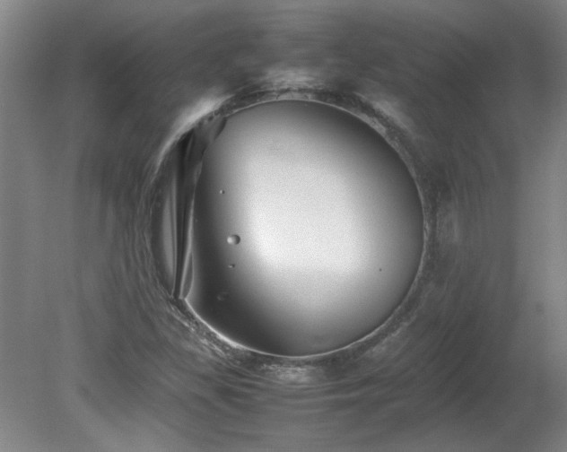 X0000082171309200701191257