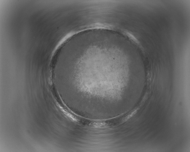 X0000082171310200701191257