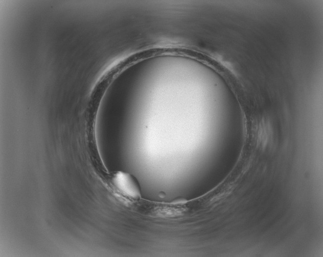 X0000082171311200701191257