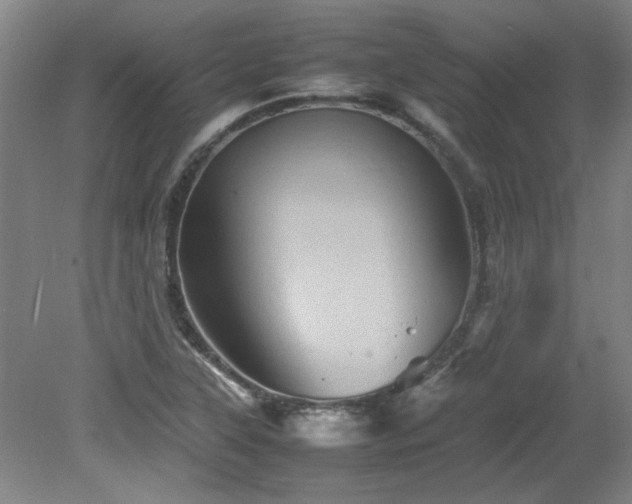 X0000082171315200701191257