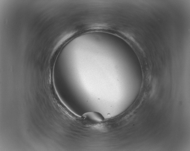 X0000082171317200701191257