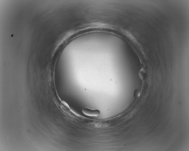 X0000082171318200701191257