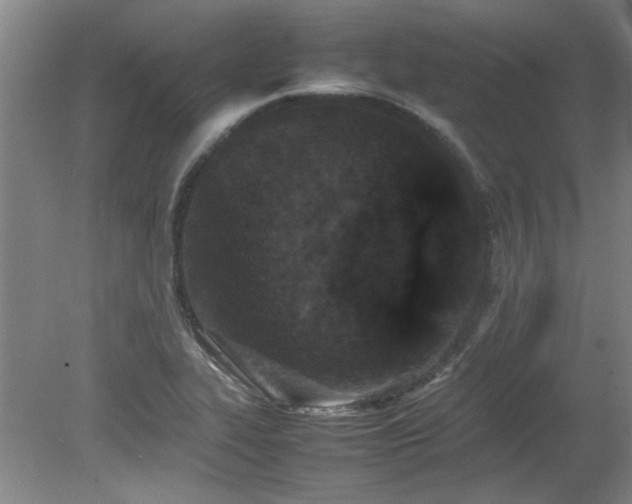 X0000082171319200701191257