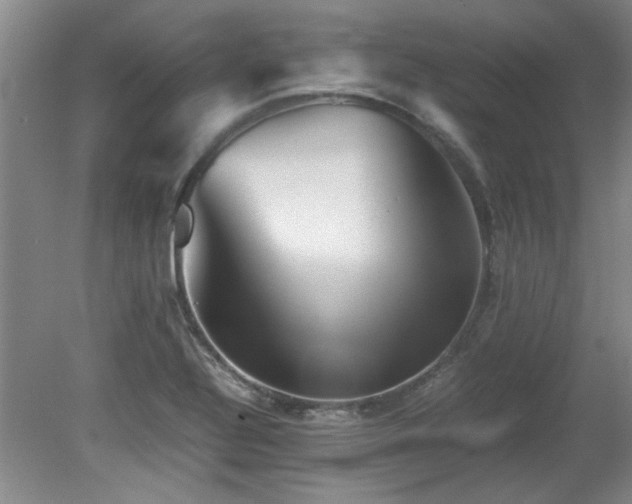 X0000082171320200701191257