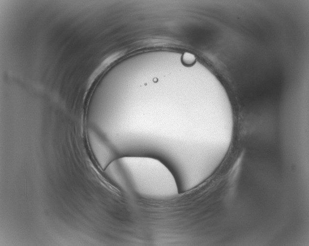 X0000082171322200701191257