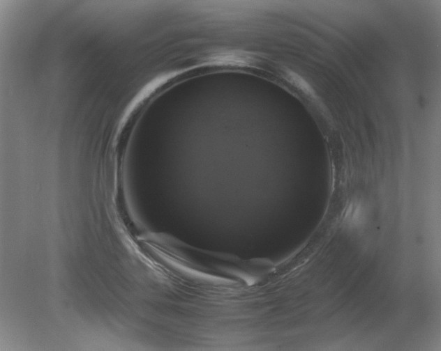 X0000082171323200701191257