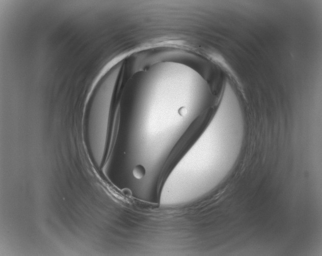 X0000082171324200701191257