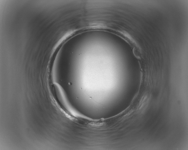 X0000082171325200701191257