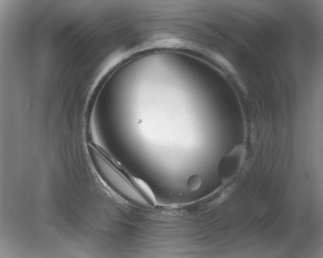 X0000082171326200701191257