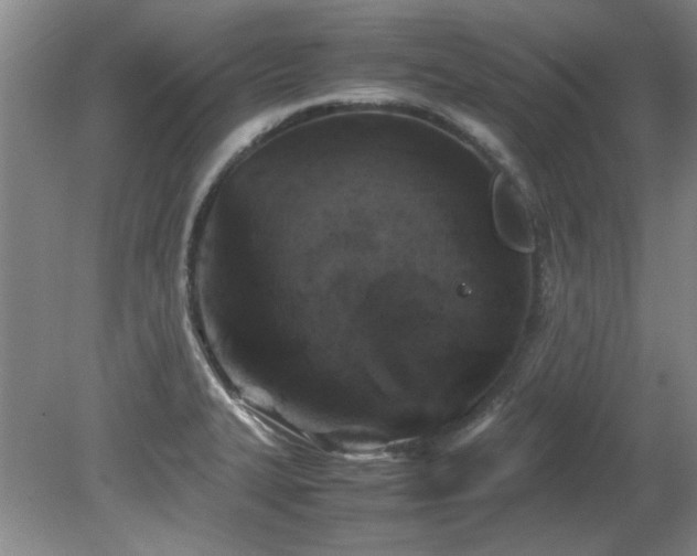 X0000082171327200701191257