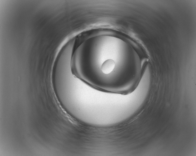 X0000082171328200701191257