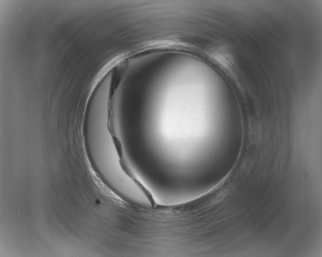 X0000082171330200701191257