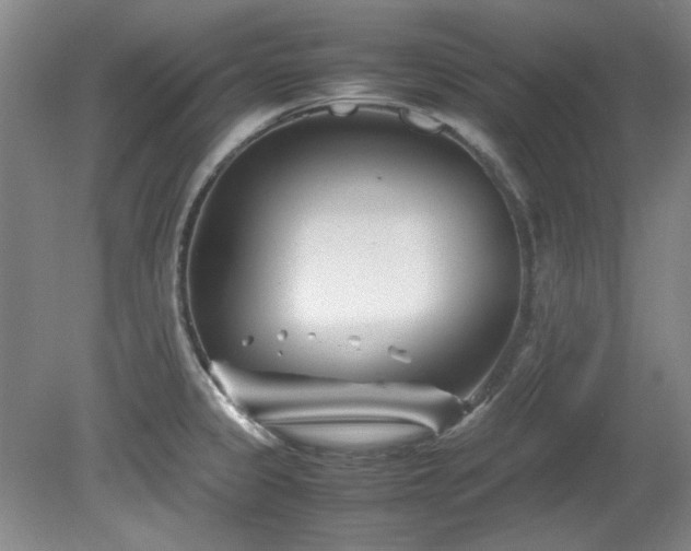 X0000082171333200701191257