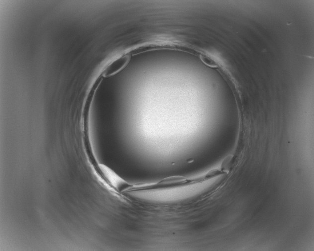 X0000082171335200701191257