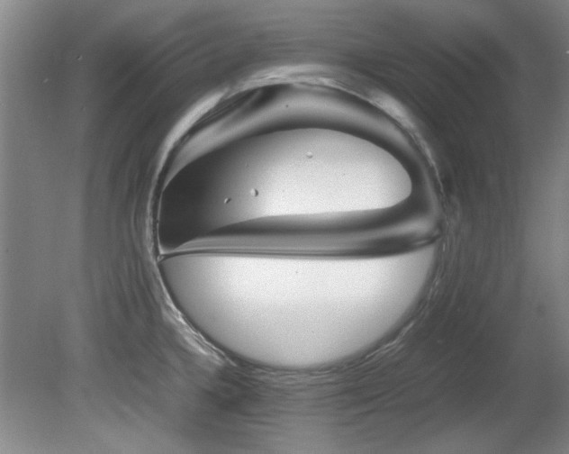 X0000082171336200701191257