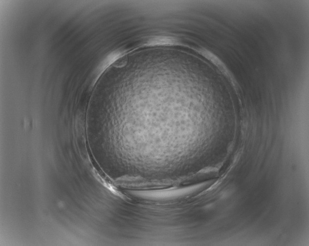 X0000082171337200701191257