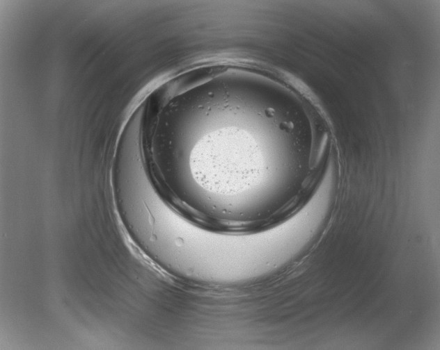 X0000082171338200701191257