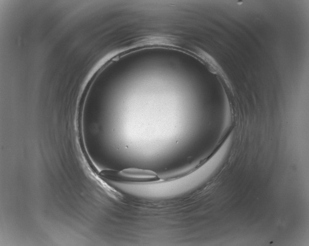 X0000082171339200701191257