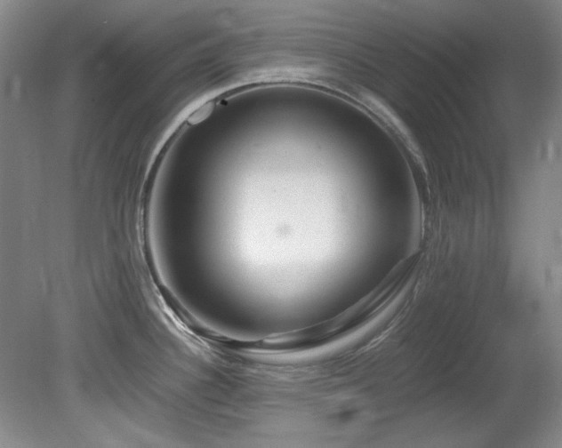 X0000082171340200701191257