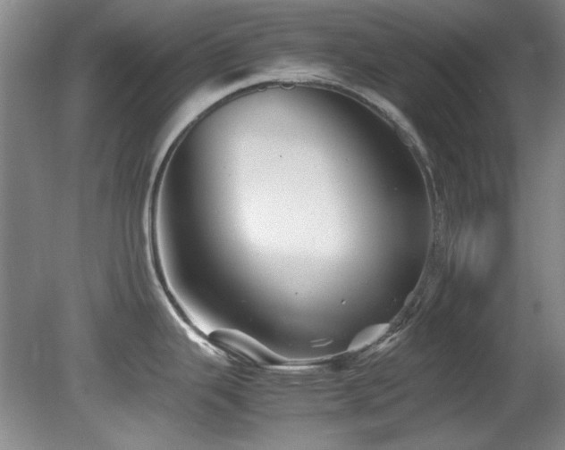 X0000082171343200701191258