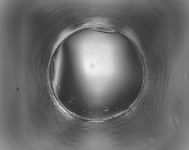 X0000082171344200701191258