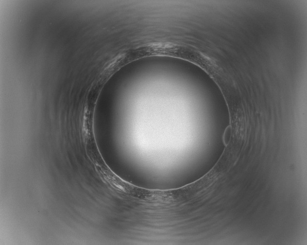 X0000082171346200701191257