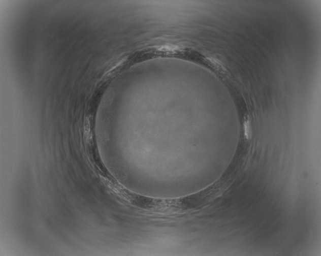 X0000082171347200701191257