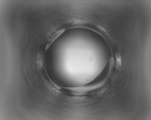 X0000082171348200701191257