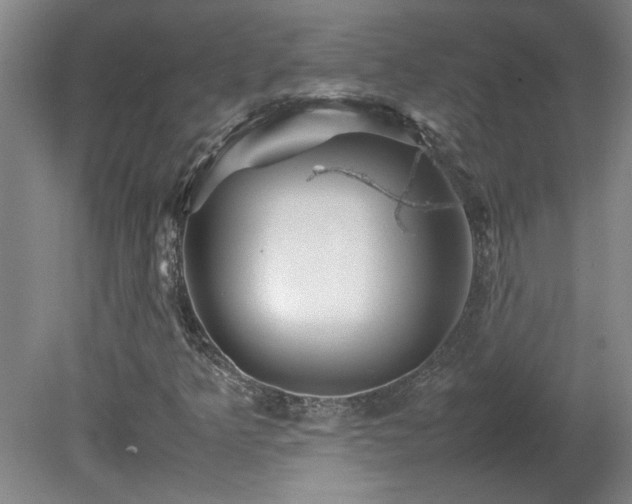 X0000082171349200701191257