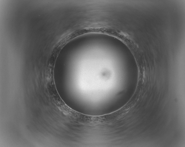 X0000082171350200701191257