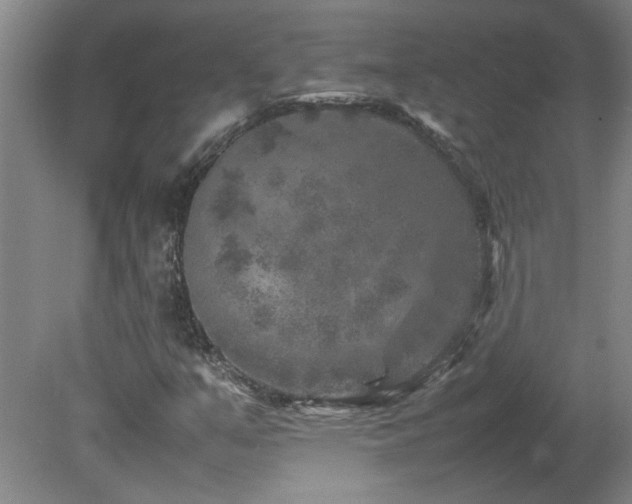 X0000082171351200701191257