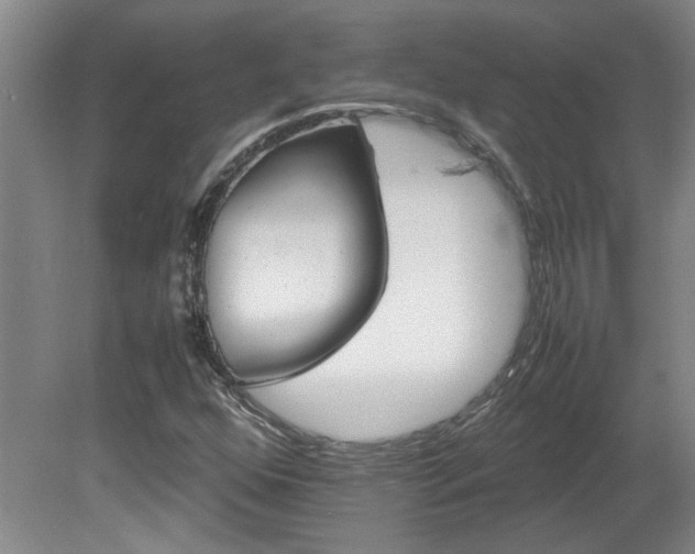 X0000082171352200701191257