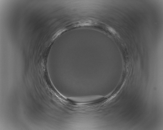 X0000082171353200701191257