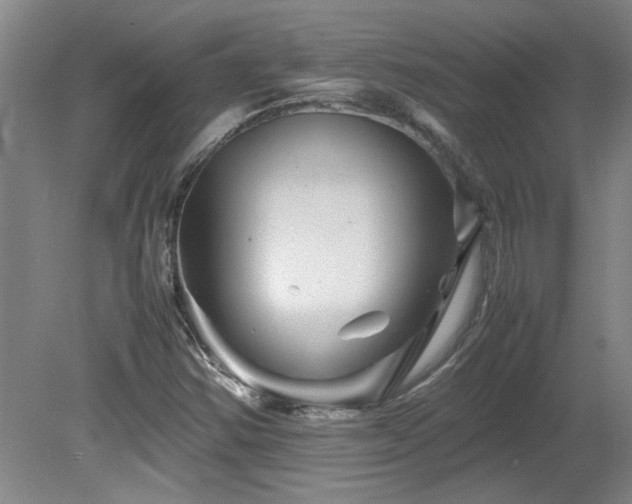 X0000082171354200701191257