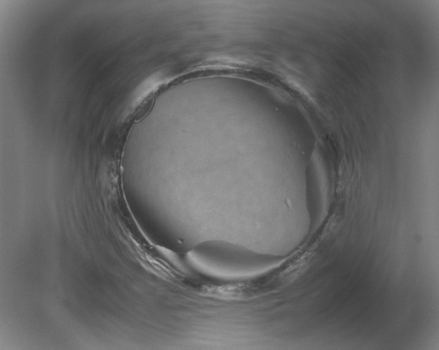 X0000082171355200701191257