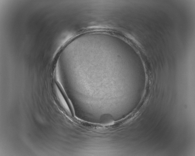 X0000082171357200701191257