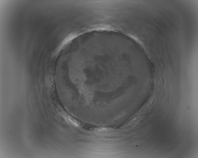 X0000082171359200701191256