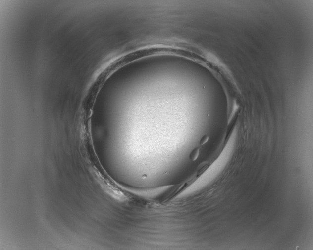 X0000082171360200701191256