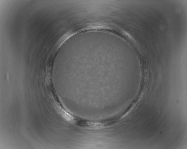 X0000082171361200701191256